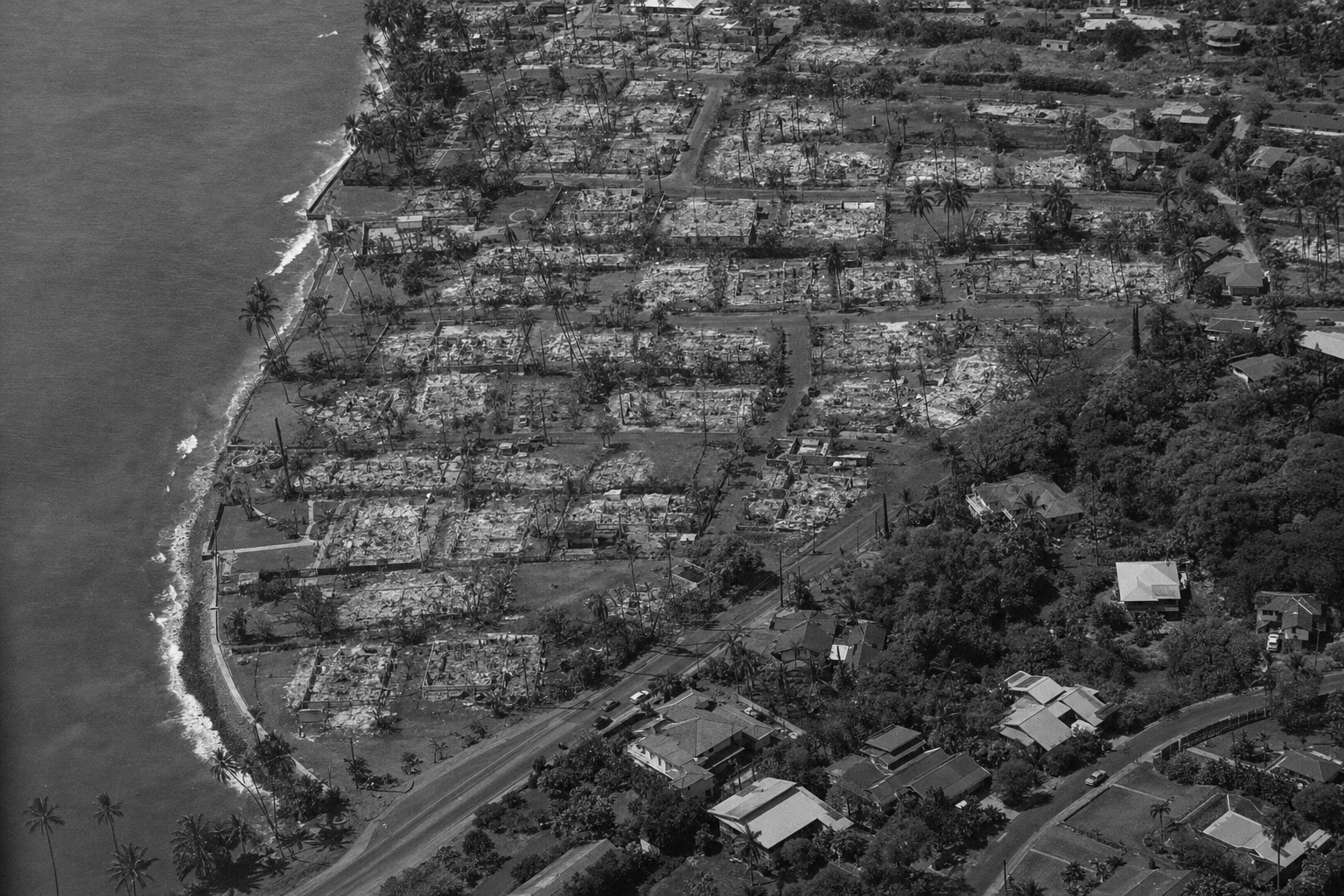 Vue aérienne de Lahaina après les incendies de 2023 à Maui : maisons détruites, arbres intacts