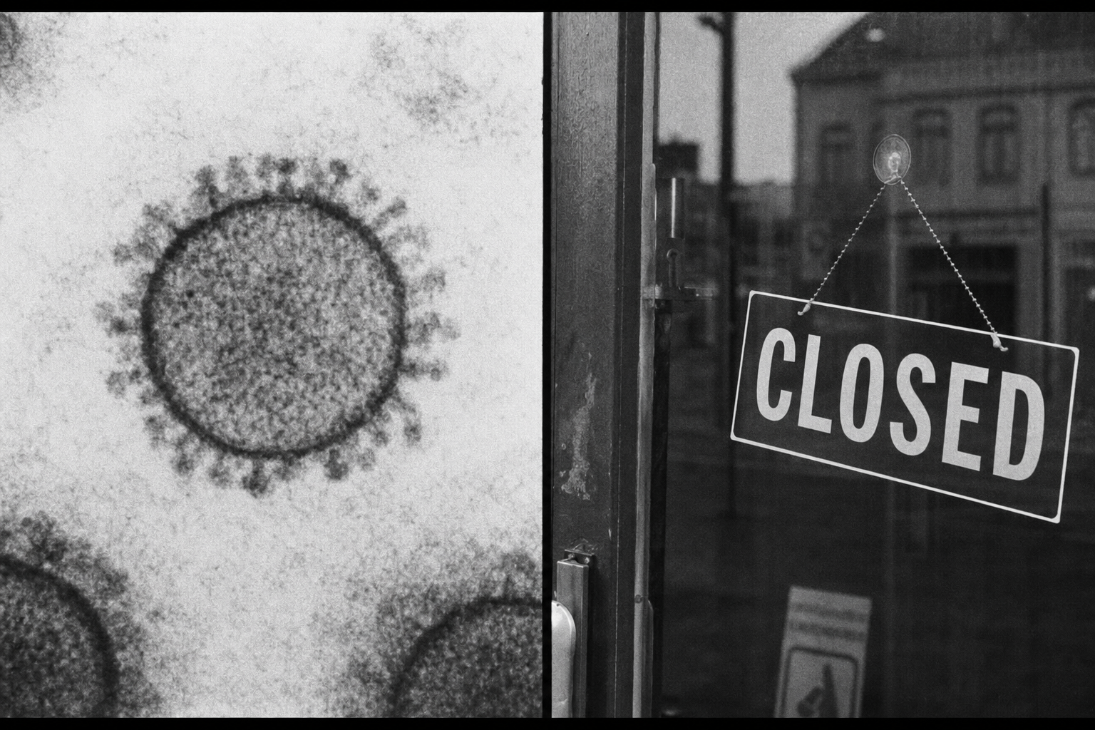 Virus Shamonda au microscope et commerce fermé : deux images d'un même plan